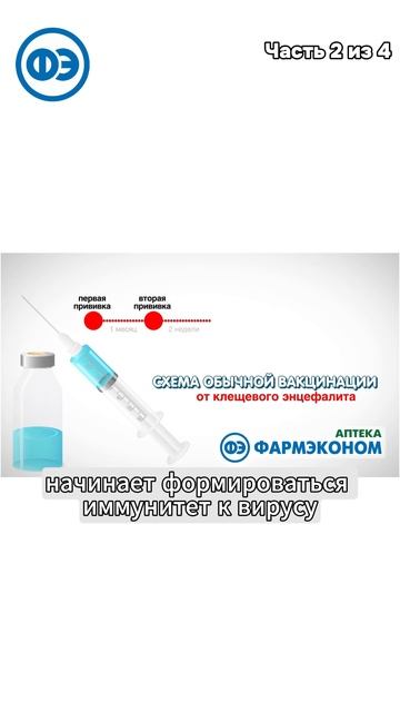 2 часть: Вакцинация от клещевого энцефалита 💉