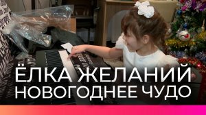 Благодаря акции «Ёлка желаний» в Великом Новгороде исполнилось ещё одно детское желание