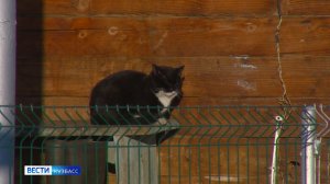 Итоги 2025 года в Кузбассе: «Вести» показали – проблемы решились