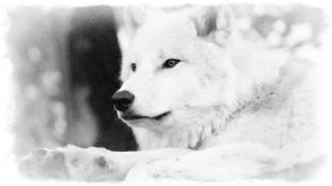 Пора не думать обо мне Олег Юргаев