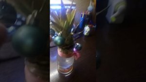 РУМТРУМ ПО МОИМ ЖИВОТНЫМ ПЕРЕД НОВЫМ ГОДОМ