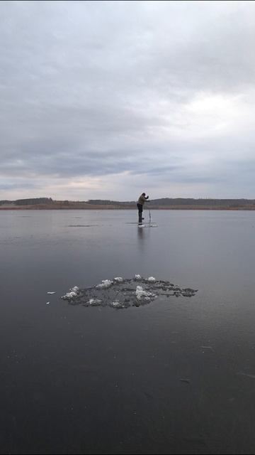 РЫБАЛКА НА ЖЕРЛИЦЫ. #shorts #рыбалка #fishing #рыба #fish #эдвардкосичка #природа #nature #отдых смотреть онлайн