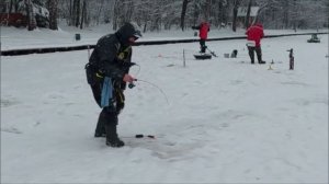Поимки и холостые поклёвки форели. Клёвое место, Лосиный остров, нижний водоём.