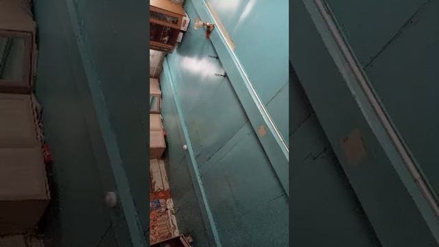 разговоры и обзор колонки смотреть онлайн