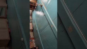 разговоры и обзор колонки