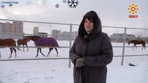 Год Красной Огненной Лошади. Что приготовил символ года в 2026?