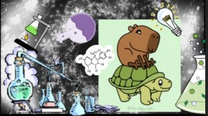 Первое занятие капибары по химии 🧪⚗️онлайн