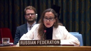 Выступление Д.А.Гильмутдиновой в СБ ООН в связи с признанием Израилем независимости Сомалиленда