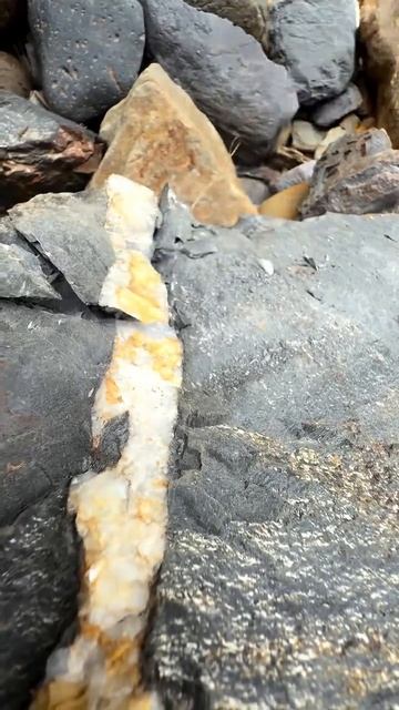 Как найти золото смотреть онлайн