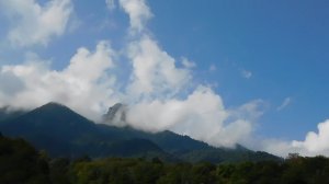 ВИДЕО  ПВН  ББ   (1495)