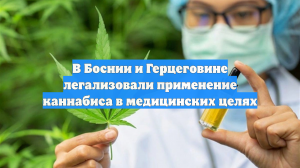 В Боснии и Герцеговине легализовали применение каннабиса в медицинских целях
