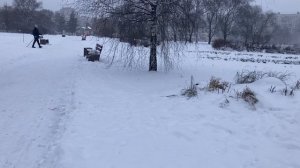 Благодарю подписчиков и гостей канала.