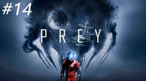 Желтый тюльпан ► Prey  #14