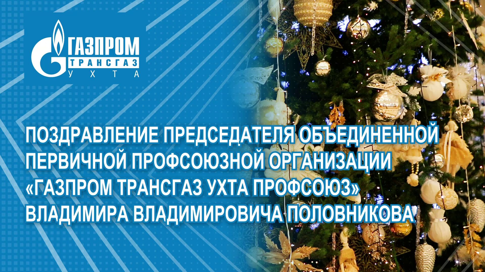 Поздравление Председателя ОППО В.В. Половникова с 2026 годом смотреть онлайн