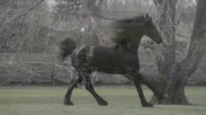 Моя дорога (клип)