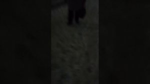 последний день