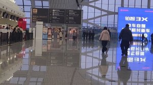 Возвращение на борт China Eastern Пекин-Бангкок ✈️ 🐥 ✈️