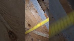 1000044139.mp4 (Собака наблюдает за устройством лестницы на 2 этаж в доме А-фрейм)