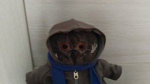 Прогулка басиков,влог 👡🎄🛍️👟📦❄️