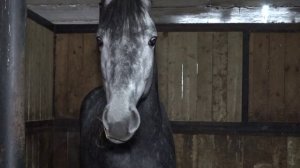 Оседлать огненную энергию