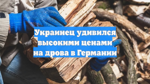 Украинец удивился высокими ценами на дрова в Германии