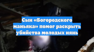 СК: сын «богородского маньяка» помог найти тела убитых нянь