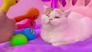 Настя и котята учит цвета Приключения Насти и кошечек