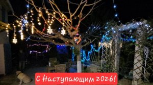 29 декабря 2025. В Провансе зимой и не пахнет...Мимоза намимозилась и герань ещё  начеренковала!