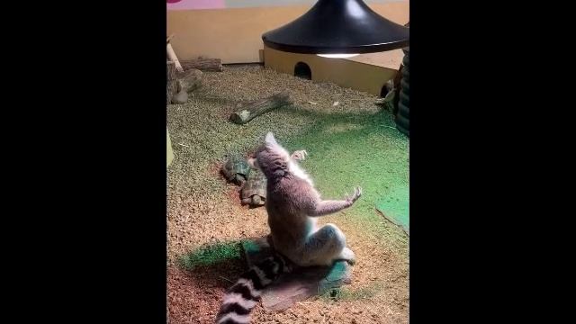 Весёлая подборка - 8 🤣 смотреть онлайн