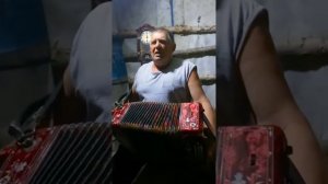 Старинная песня ДО СЛЕЗ ! Бедная девица ! Гармонь сила ?