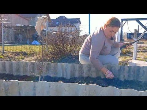 Ох Эти Огородные Дела / Занимаюсь Прополкой / смотреть онлайн