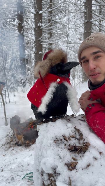 С Новым годом!🎉🎊 смотреть онлайн