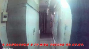 ВЛАДИК ПЕШЕХОД