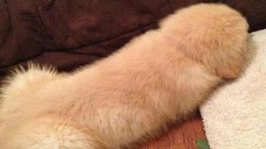 #Dota2 #turbo #Solo #Тренды