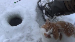 Провожаем 2025 на рыбалке