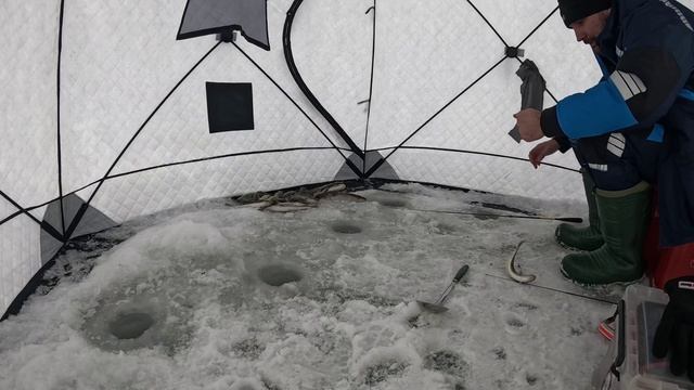 Рыба гнет удочки. Рыбалка в Приморском крае зимой на льду#gopro#jimny#рыбалка##природа#море#рыба