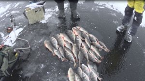 ВЗЯЛ В РУКИ ГОНДУРАС И ПОНЕСЛОСЬ... У ГОРБАЧЕЙ НЕТ ШАНСОВ...