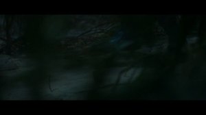 ОСТРОВ ХИЩНИКА