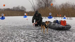 БУРЯ НА ЛЬДУ! РЫБАЛКА НА ЖЕРЛИЦЫ С СОБАКОЙ ВО ВРЕМЯ МЕТЕЛИ. Разведка новых рыбных мест.