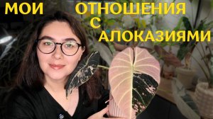 ОБЗОР всех АЛОКАЗИЙ | КАК я ВЫРАЩИВАЮ алоказии | тонкости и СЕКРЕТЫ УХОДА