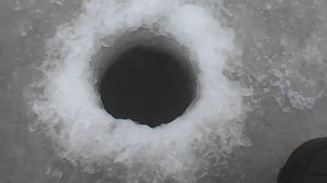 согожа 22.12.2025