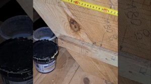 1000044142.mp4 (Собака наблюдает за устройством лестницы на 2 этаж в доме А-фрейм)