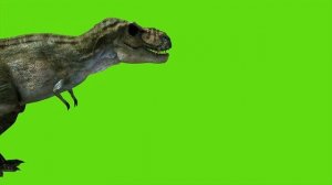 Интерактивная разминка с эффектом погружения, НОВАЯ в