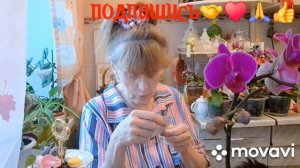 1000015545.mp4 🚀🖋️ НАШИ ЖЕЛАНИЯ,НЕ ВСЕГДА СОВПАДАЮТ ,С НАШИМИ ВОЗМОЖНОСТЯМИ💃🔥 МОИ БУДНИ 🚀🖋️