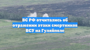 ВС РФ отчитались об отражении атаки смертников ВСУ на Гуляйполе