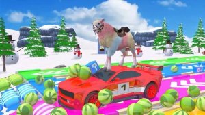 ДИНАМИЧНЫЕ АНИМАЦИИ ПРО ЗВЕРЯТ для малышей — ТОЛЬКО СМЕХ И РАДОСТЬ!