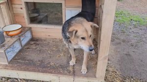 💋Никакого гламура!🙈 Только настоящая деревенская жи