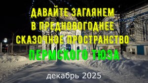 Красота новогоднего Пермского ТЮЗа 2025