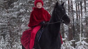 Главы вологодских округов запустили флешмоб «Фото с символом 2026 года»