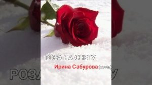 РОЗА НА СНЕГУ (cover)-ИРИНА САБУРОВА ( 2025г)